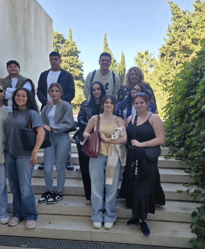 Erasmus program